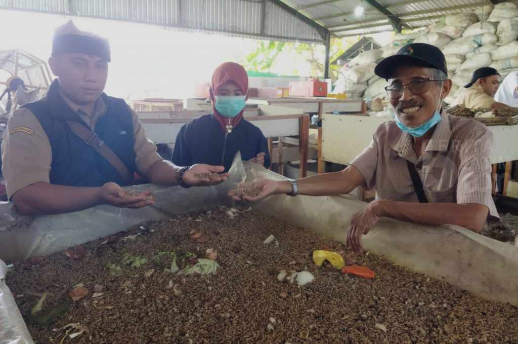 Budidaya Maggot Bikin Bersih Banyuwangi