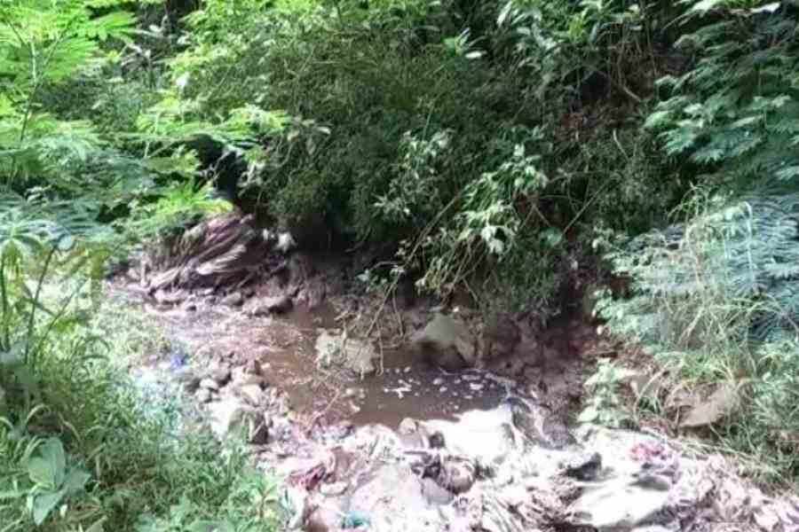 Soal Sungai Pacalan Tercemar Limbah Kotoran Sapi, Ini Kata Bupati Magetan