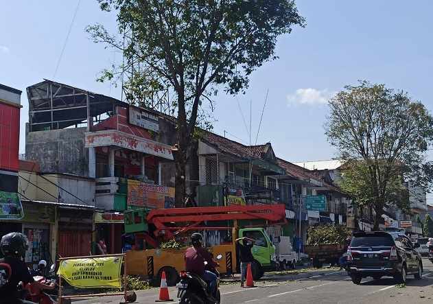 67 Pohon di Jalan Jenderal Sudirman Ponorogo Bakal Ditebang