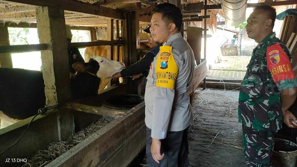 Polisi Monitoring Vaksinasi PMK dan Penyekatan Mobilisasi Hewan di Ponorogo