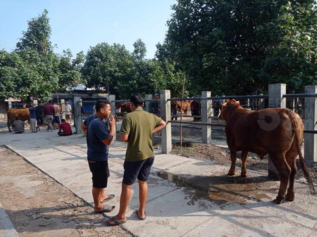 Idul Adha Selesai, Pemkab Ponorogo Uji Coba Pembukaan Pasar Hewan Jetis