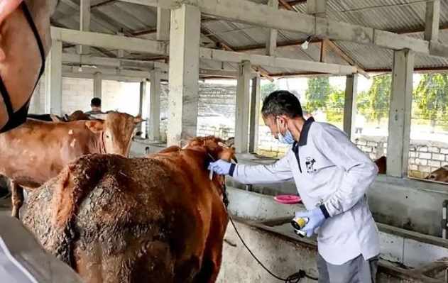 Lamongan Usulkan Pemprov Terbitkan SE Penggunaan Dana BTT Untuk Tangani PMK