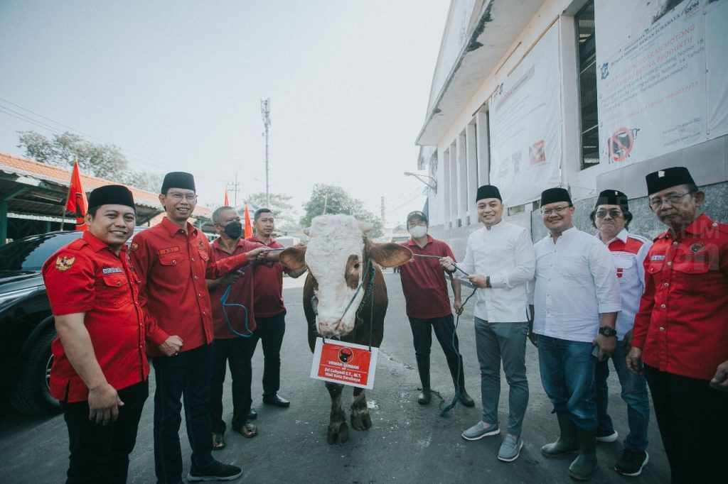 Potong 11 Kurban Sapi saat Idul Adha, PDIP Surabaya: Momen Spiritual dan Gerakkan Gotong Royong