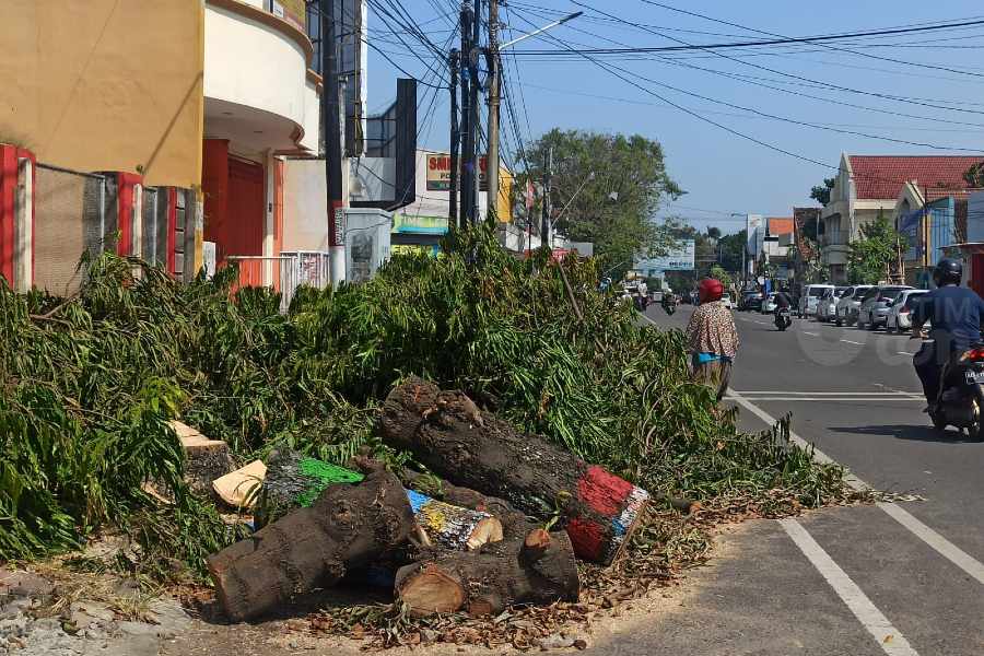Harus Rampung Sebelum Grebeg Suro, Penebangan Pohon Jalan Jensud Ponogoro Dikebut