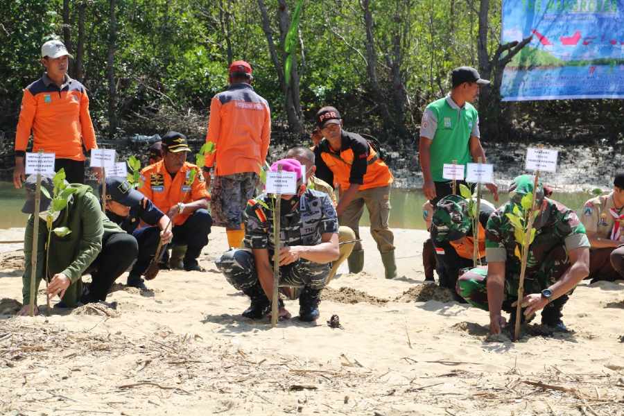 Peringati Hari Mangrove se-Dunia, Puslatpurmar-4 Purboyo Malang Tanam Ribuan Bibit