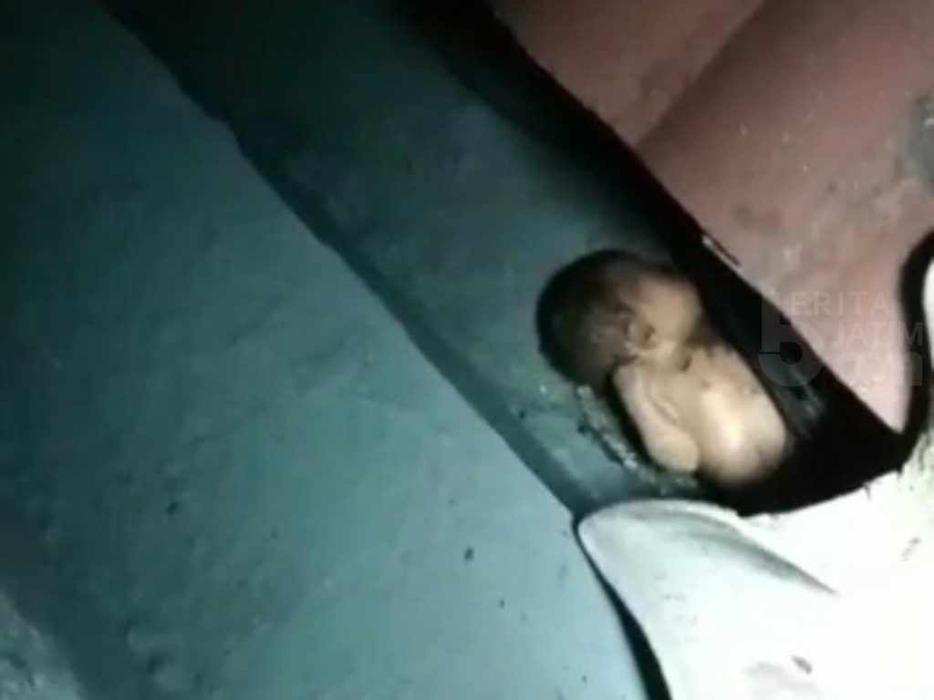 Bayi Menangis di Atas Genting Perumahan Elit Dharmahusada Indah Utara Surabaya