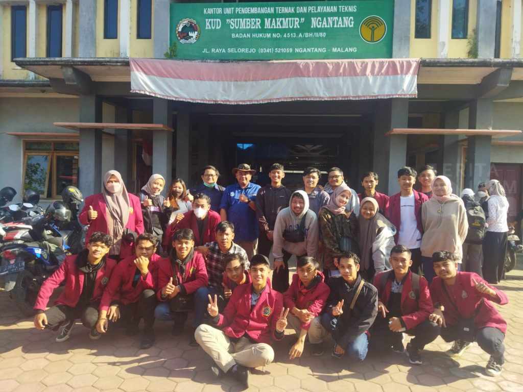 Mahasiswa UMM Bantu Pemkab Malang Tangani Wabah PMK
