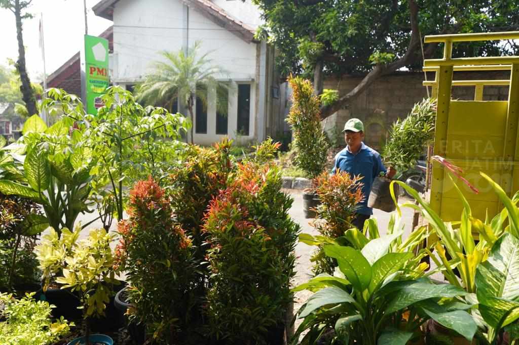 Ribuan Bibit Pohon Ditanam untuk Hutan Kota Gresik