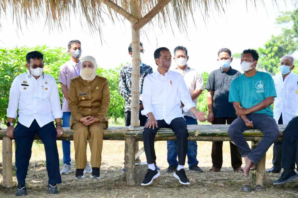 Disambangi Presiden Jokowi, Petani Mangga Gresik Ngeluh Susahnya Pemasaran