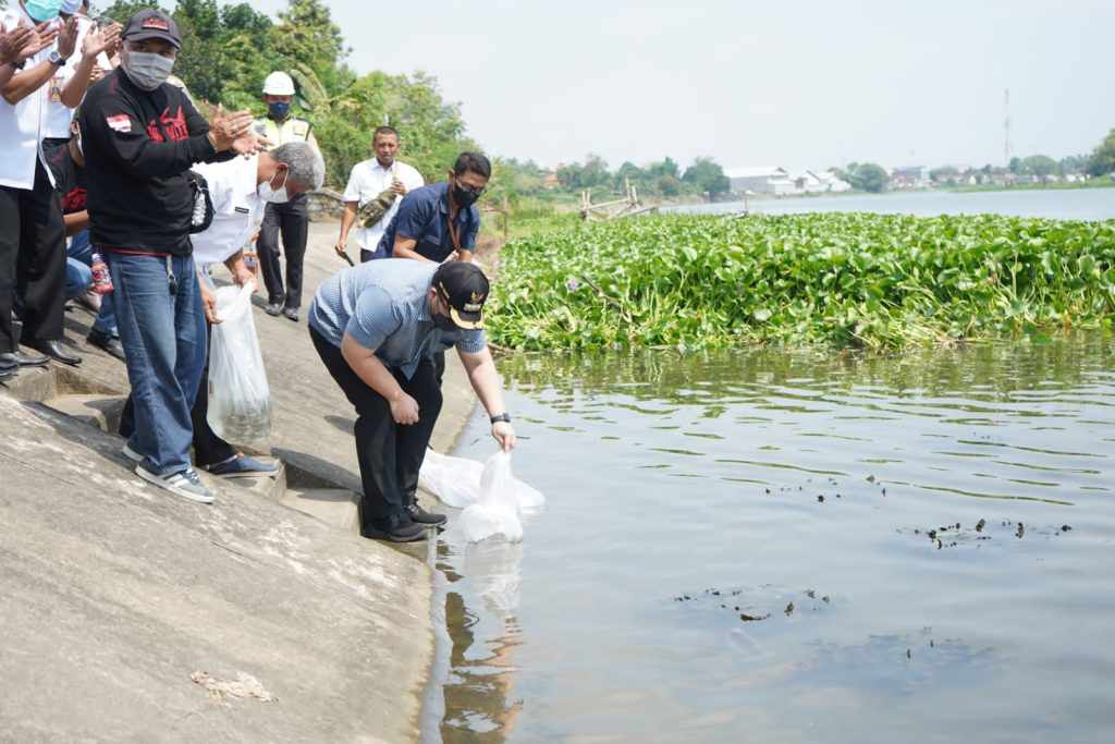 Jaga Ekosistem, Mas Dhito Tebar 50 Ribu Benih Ikan dan Bentuk Pokmaswas