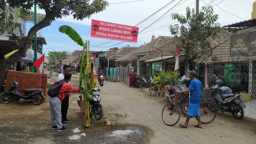 Jalan Tak Kunjung Diperbaiki, Warga Pasuruan Tanam Pohon Pisang di 7 Titik