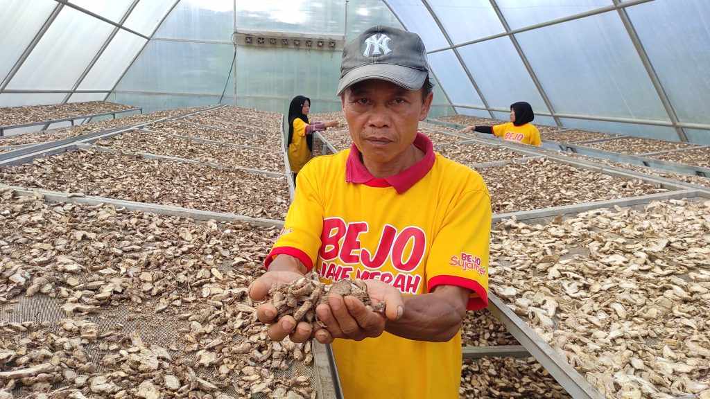 Kalbe Farma Kenalkan Negeri Jahe Merah di Trenggalek