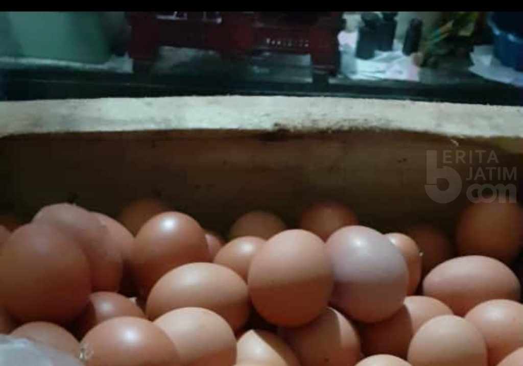 Telur Ayam di Kota Pasuruan Naik Rp 9 Ribu Per Kg
