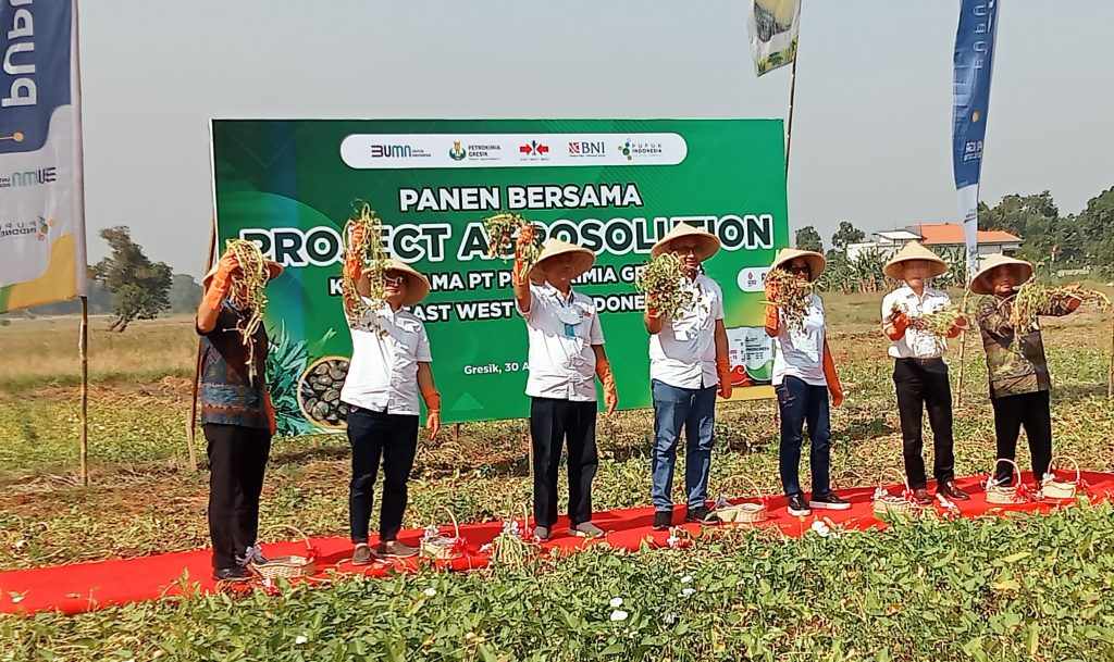 Petrokimia Gresik dan Ewindo Dorong Petani Kangkung Berstandar Ekspor