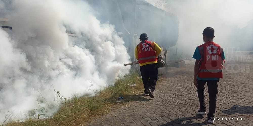 Permintaan Fogging kepada PMI Jember Meningkat