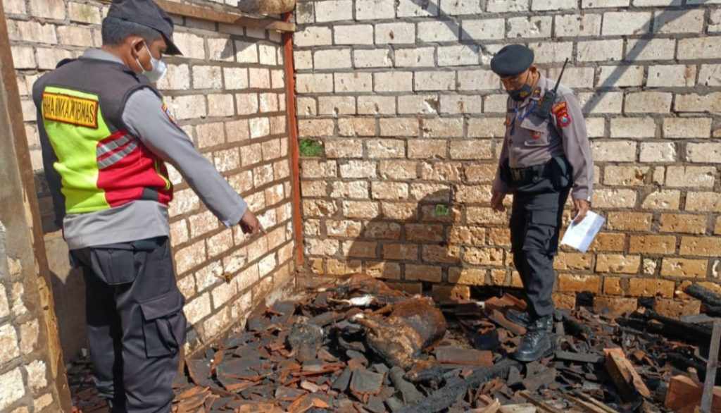 Menantu Bakar Sampah, Kandang Berisi 2 Ekor Kambing Milik Tarmijan Ludes