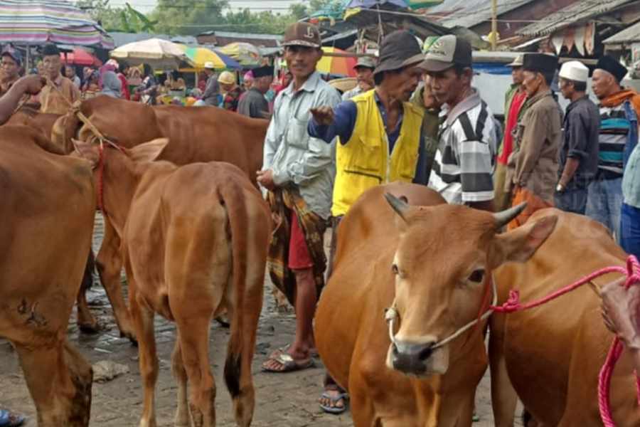 Mantan Kades Kedungwaras Lamongan Diduga Korupsi Pengadaan Sapi Rp206 Juta