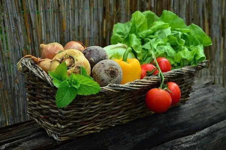 Iustrasi jenis sayuran hijau yang bagus untuk memperlancar asi. (Pixabay)