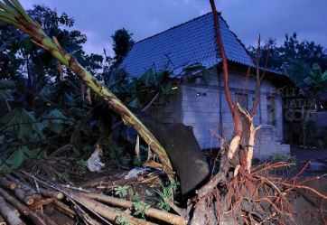 Angin Puting Beliung Landa Ngawi, Belasan Rumah Warga Rusak, Puluhan Pohon Tumbang
