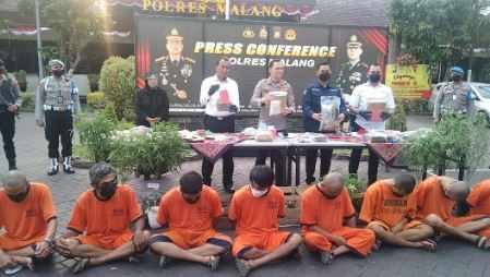 Polres Malang Tangkap Penanam Ganja dan Pemilik Sabu Senilai Rp 1 Milyar Lebih