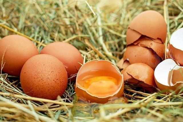 Telur Ayam dan Telur Bebek Bisa Untuk Program Diet, Tapi Mana yang Lebih Sehat?