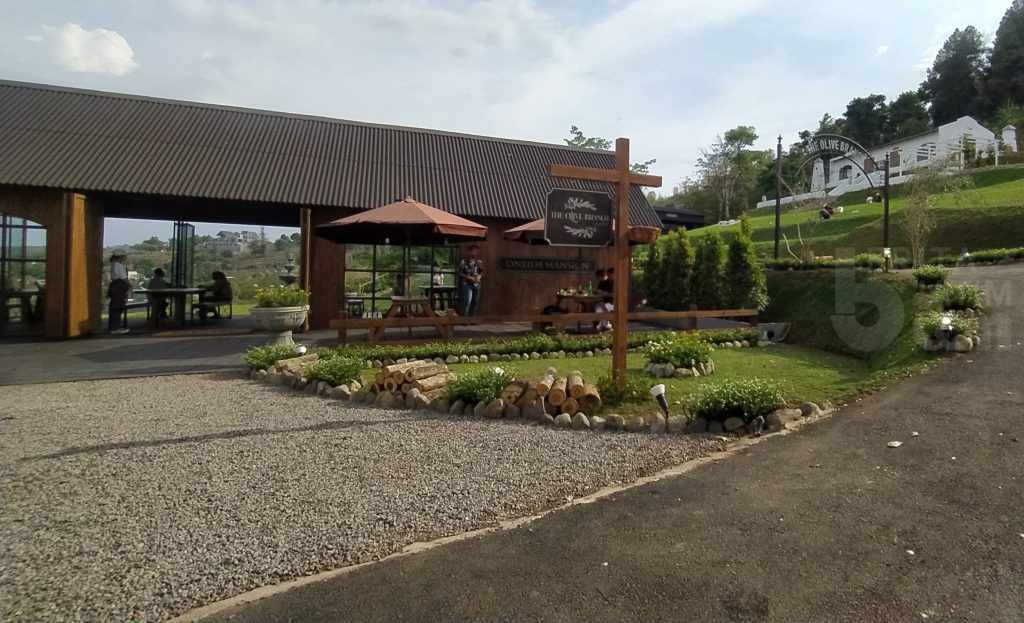 Suguhkan Nuansa Mediteranian, The Olive Branch Coba Hidupkan Taman Dayu Pasuruan