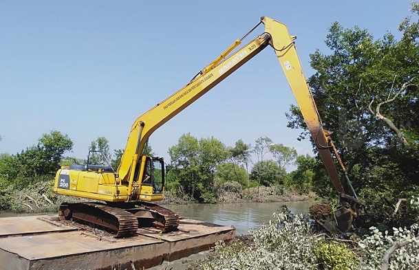 DPRD Surabaya Sesalkan Ratusan Pohon Mangrove Rusak Akibat Normalisasi Sungai