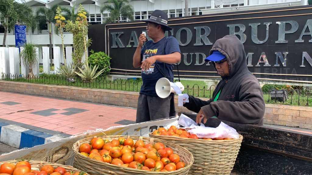 Peringati Hari Tani Nasional, FKPJ Bagi-Bagi Tomat Gratis di Depan Kantor Pemkab Jember
