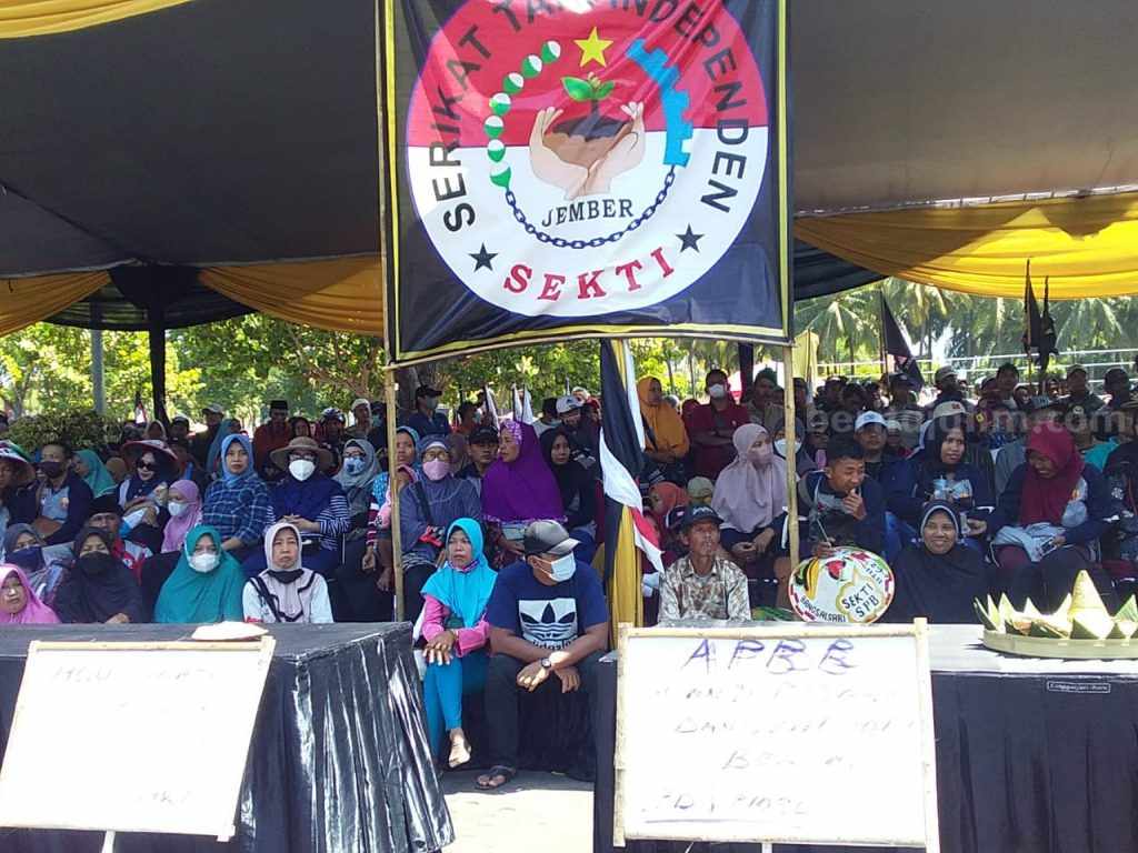 Urung Demo, Ratusan Petani Tasyakuran Bersama Bupati dan Wabup Jember