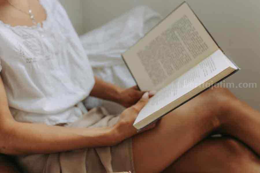 Novel
