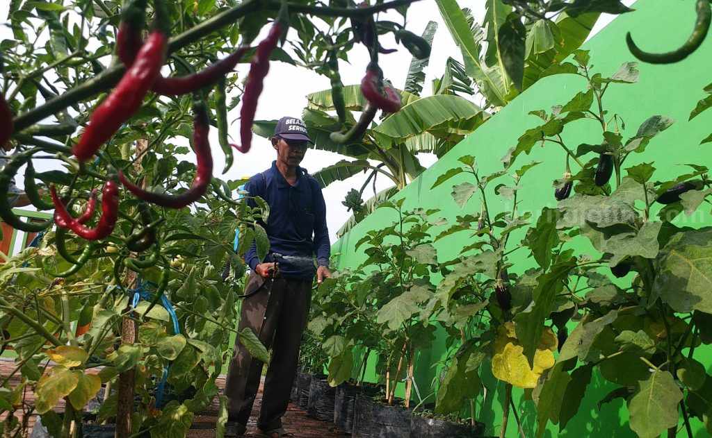 Bupati Gus Muhdlor Siapkan Gerakan Tanam Sayur dan Buah-buahan di Polybag