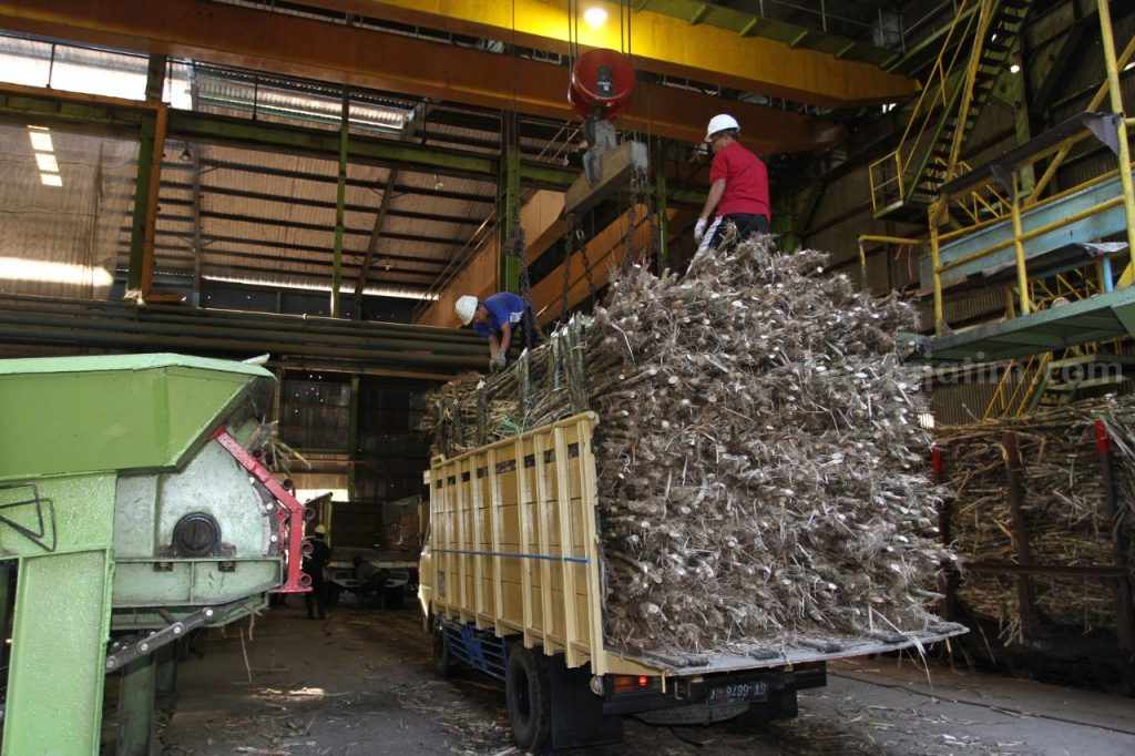 PTPN X Sukses Capai Produksi Tebu Tertinggi