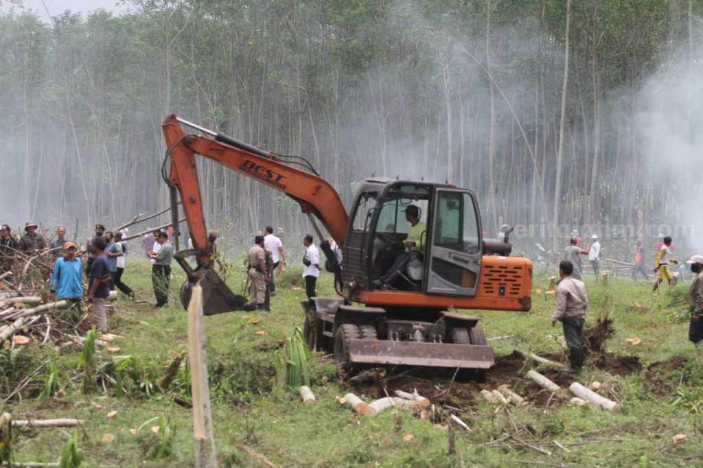 PTPN X Optimalkan Kembali Lahan di Jember Seluas 4,4 Ha