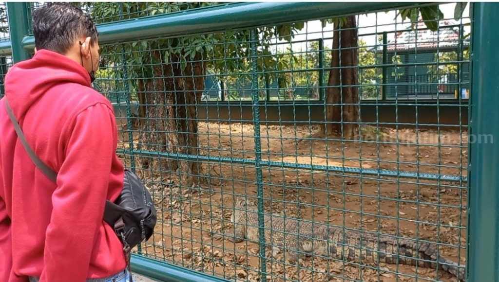 Mengejutkan, Teddy Minahasa Ternyata Koleksi Hewan Langka dan Eksotik di Pasuruan