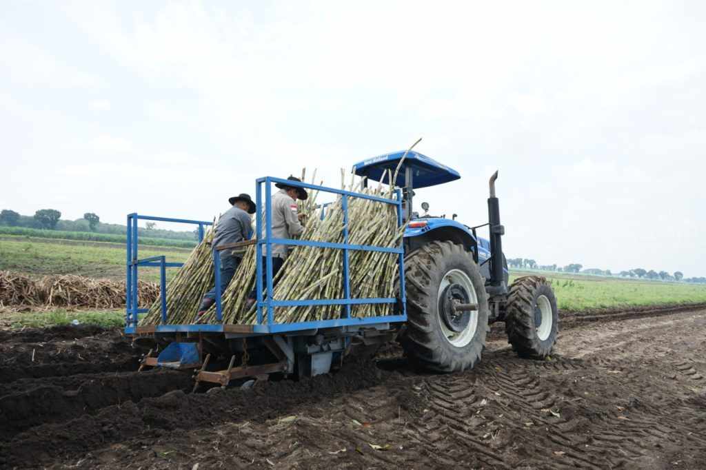 PTPN X Lampaui Target Giling Tebu Tahun Ini