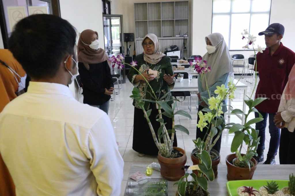 Prospektif, Universitas Jember Kembangkan Bisnis Anggrek