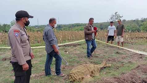 Penggembala Kambing asal Magetan Ditemukan Meninggal di Bekas Ladang Jagung