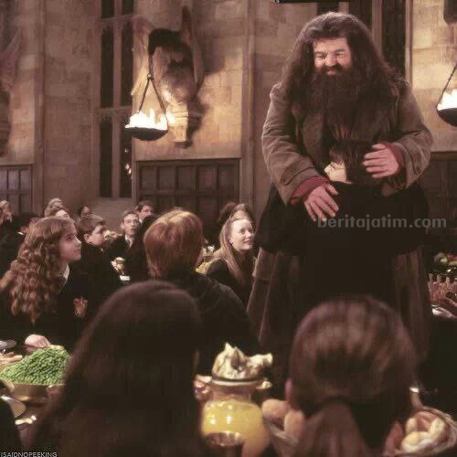 Pemain Harry Potter, Robbie Coltrane Meninggal Dunia
