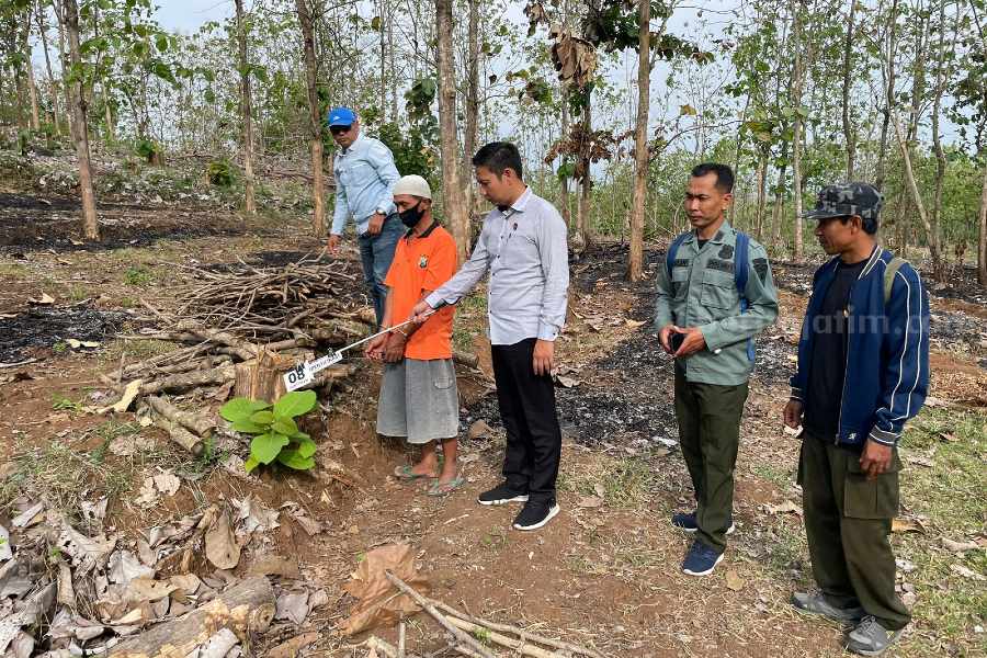 Kakek Asal Wonogiri Potong Jati Hutan Gangsiran Ditangkap Polres Magetan