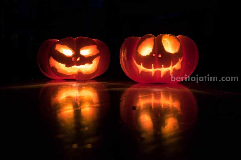Halloween Identik dengan Labu, Ini Mitos dan Asal Usulnya