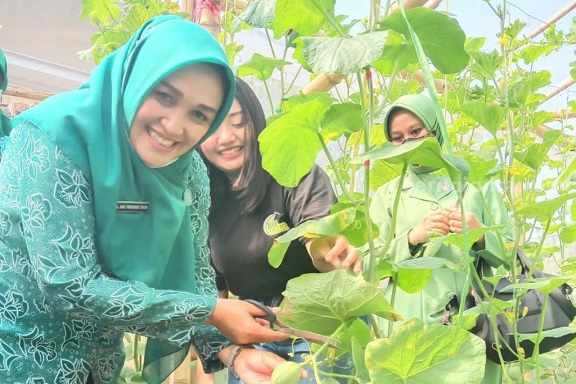 Melon Kis Fruit, Gebrakan Baru Kawula Muda di Lamongan, Apa Itu?