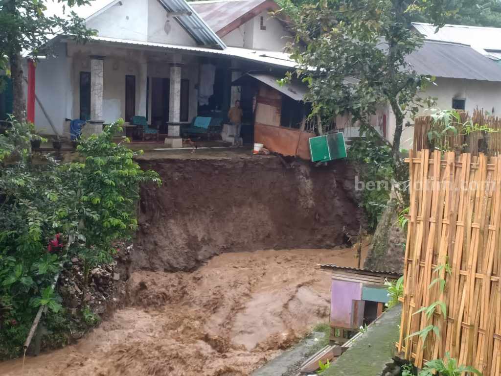 Hujan Deras Berangin, Pohon Tumbang Sempat Macetkan Jalur Jember-Banyuwangi