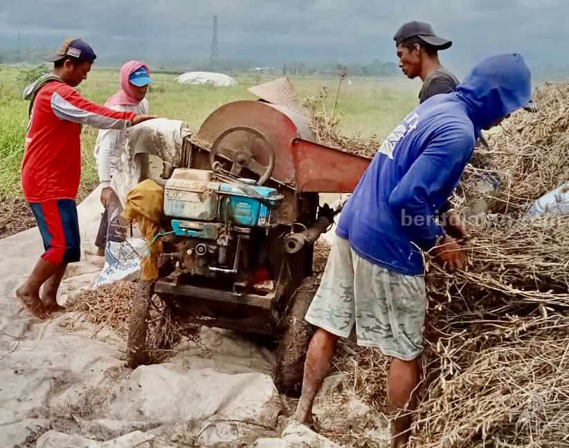 Kadin : Jangan Terlena Kedelei Import