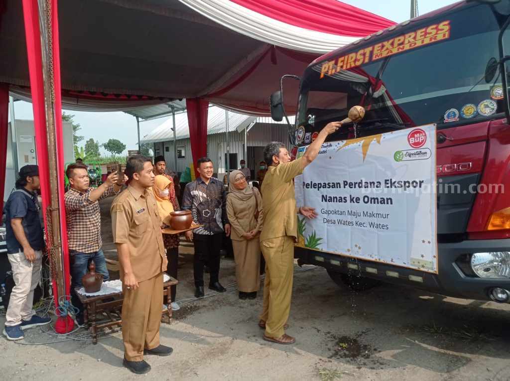 Nanas Kediri Diekspor ke Oman, Mas Dhito Dorong Peningkatan Nilai Jual Produk Hortikultura