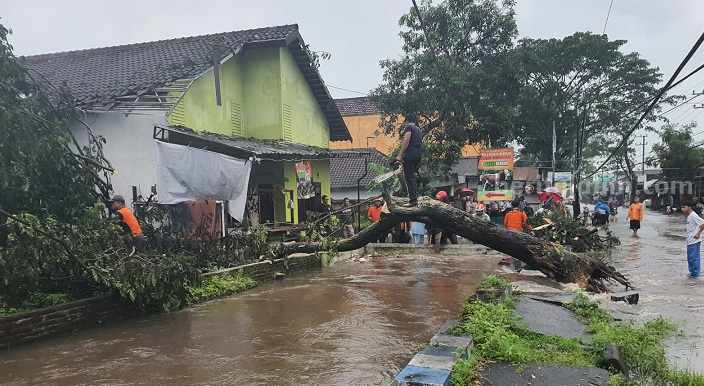 Pohon Tumbang Sebabkan Tanggul Drainase Panggungrejo Malang Jebol