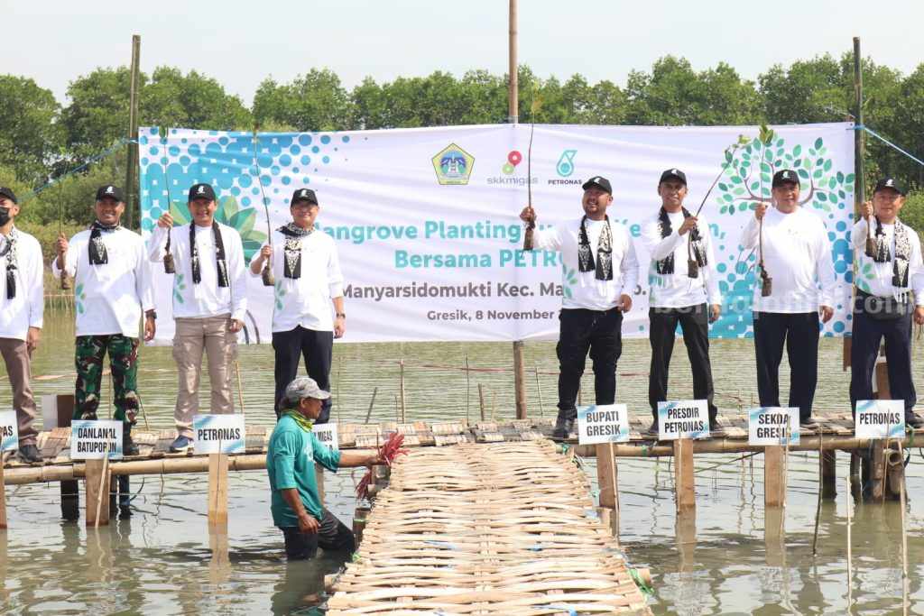 SKK Migas Jabanusa, Petronas dan Pemkab Gresik Tanam Ribuan Mangrove