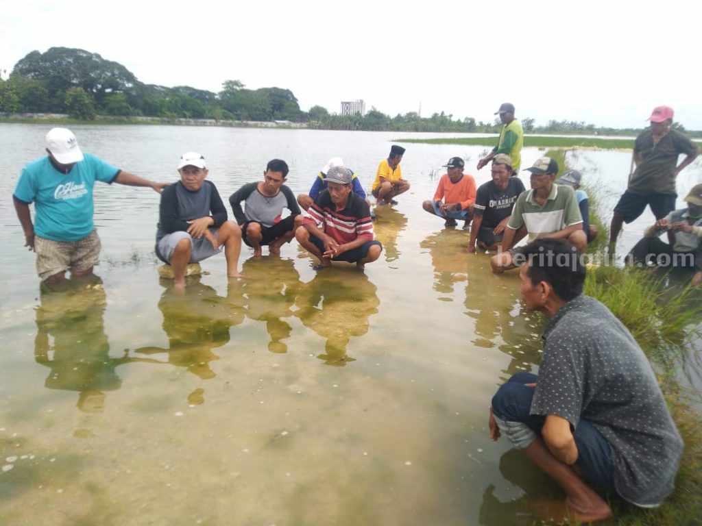 Sawah di Sukorejo Bojonegoro Langganan Banjir, Tahun ini Paling Parah