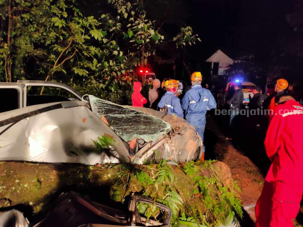 Tertimpa Pohon di Jalur Pacet-Cangar Mojokerto, Pengendara Toyota Rush Meninggal