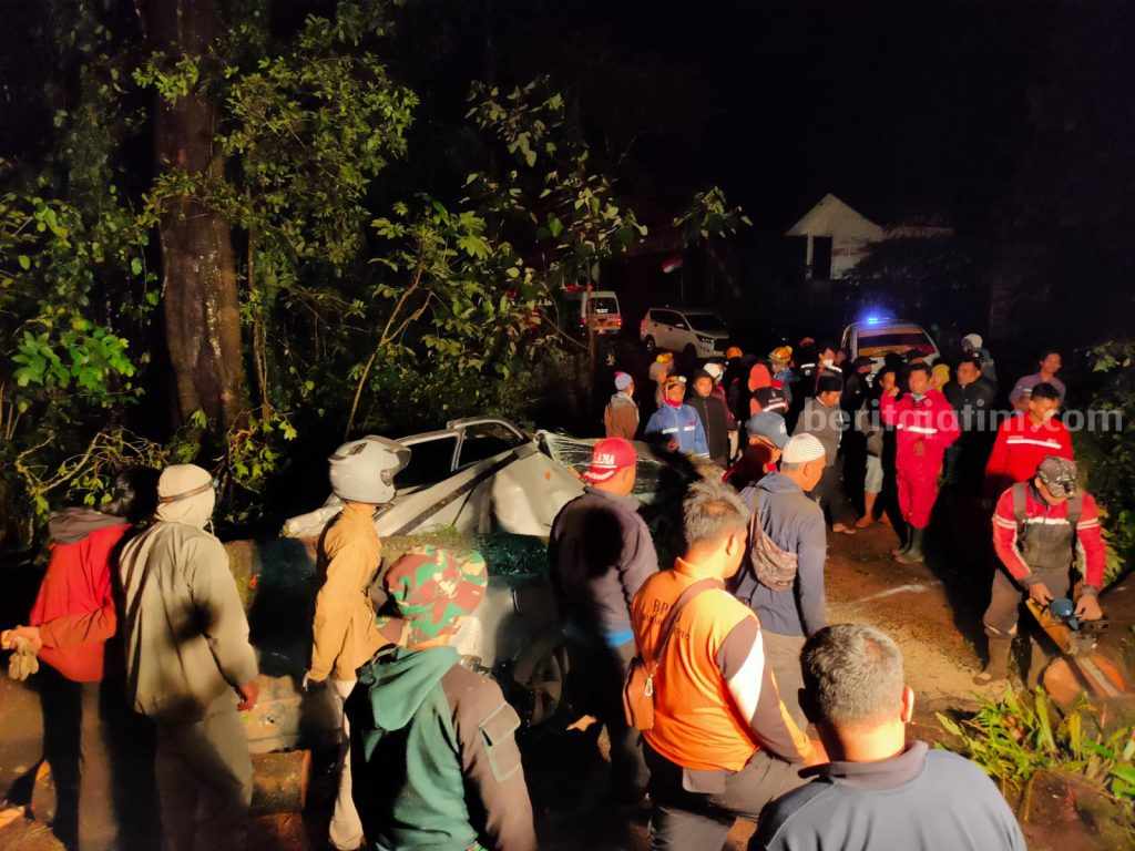 Pohon Tumbang di Jalur Pacet-Cangar Mojokerto Akibat Angin Kencang
