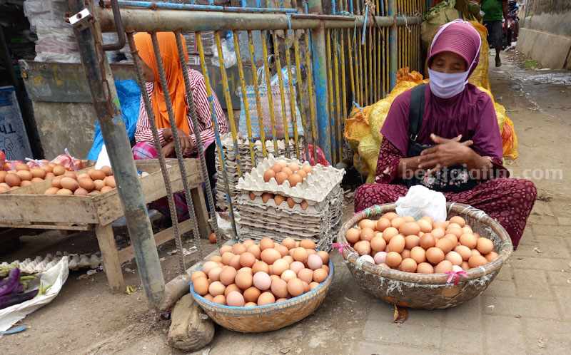 Permintaan Naik, Harga Telur Ayam Ras Meroket